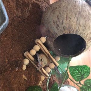 Meet your Posher, Avery